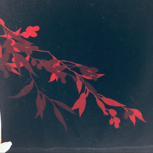 Ann Taylor Loft Sleeveless Velvet Top- XS - Picture 2 of 4